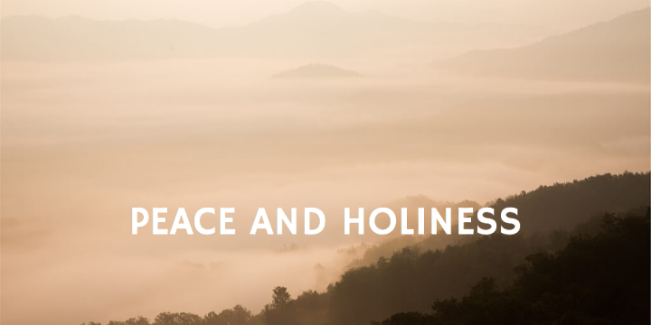 Peace and Holiness